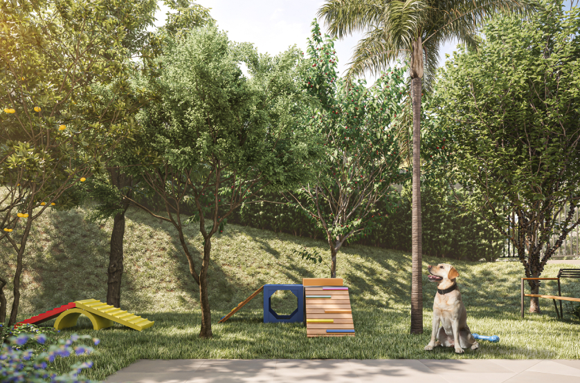 Pet place (perspectiva artística)