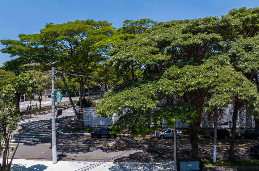 Vista do 2º andar da Av. Aicas (Foto da vista) 