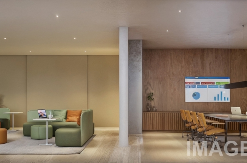 Coliving (perspectiva preliminar)