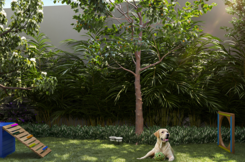 Pet Place (Perspectiva preliminar) 