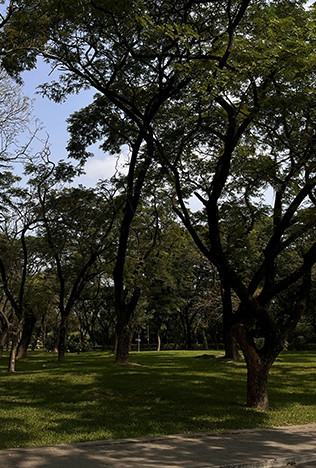 Parque Ecológico Vila Prudente
