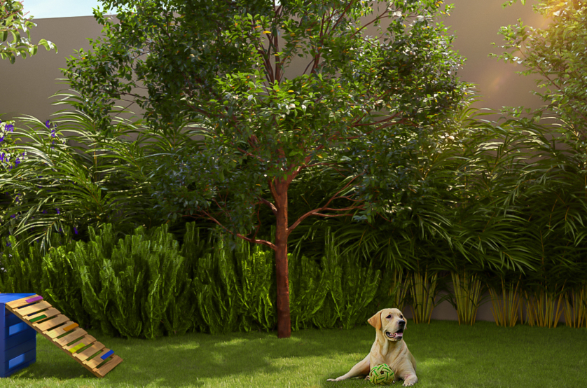 Pet Place (Perspectiva preliminar) 