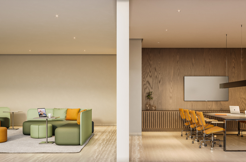Coliving  (perspectiva preliminar)