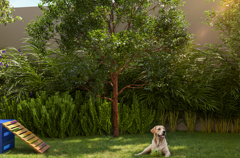 Pet Place (Perspectiva artística) 