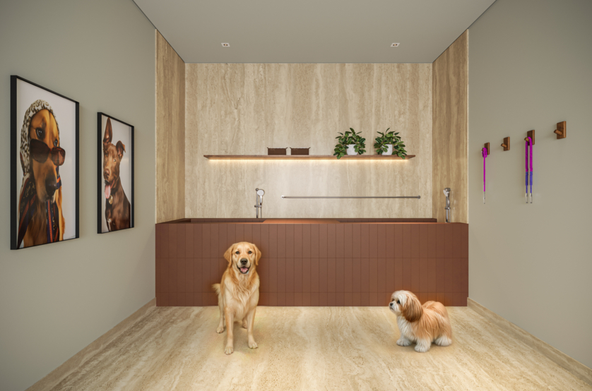 Pet care (Perspectiva artística) 