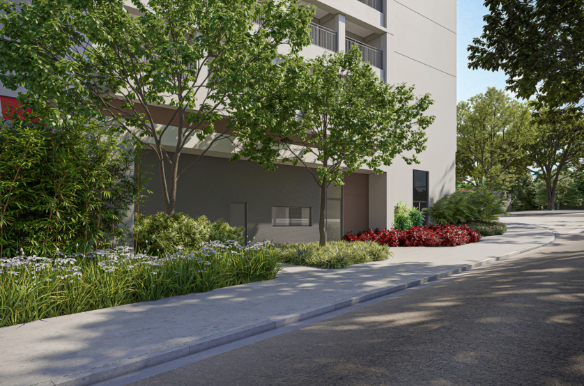 Acesso (perspectiva artística)