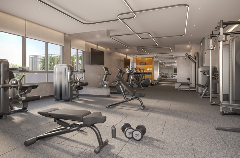 Fitness (perspectiva artística) 