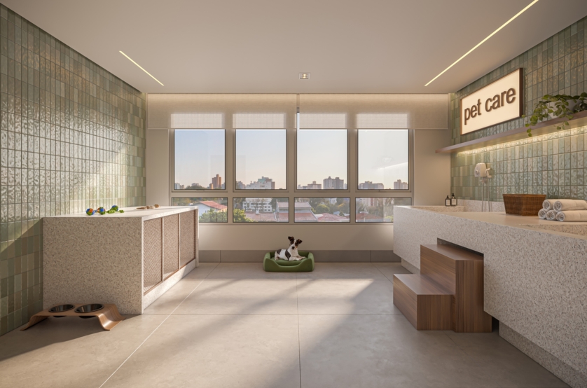 Dog wash (perspectiva artística) 