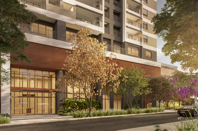 Acesso (perspectiva artística) 