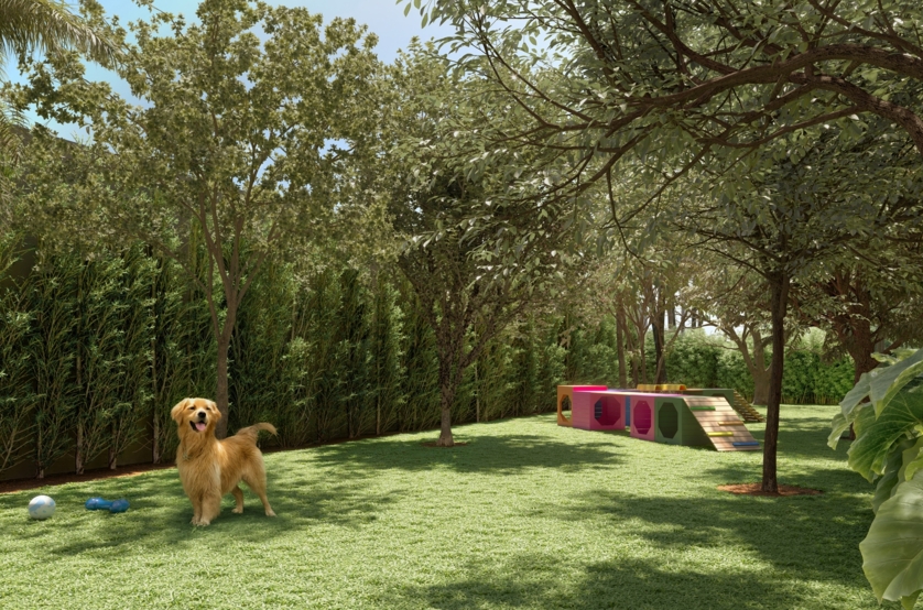 Pet place (perspectiva artística) 