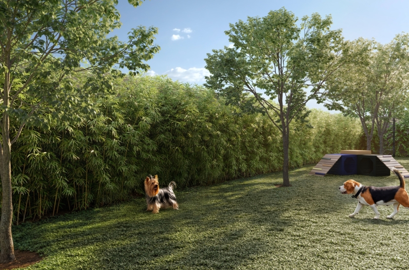 Pet place (Perspectiva artística)