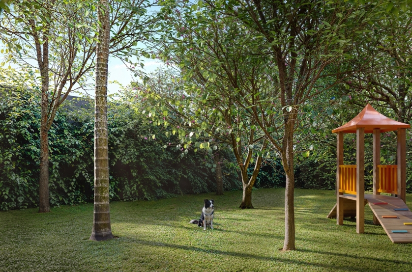 Pet place (Perspectiva artística)