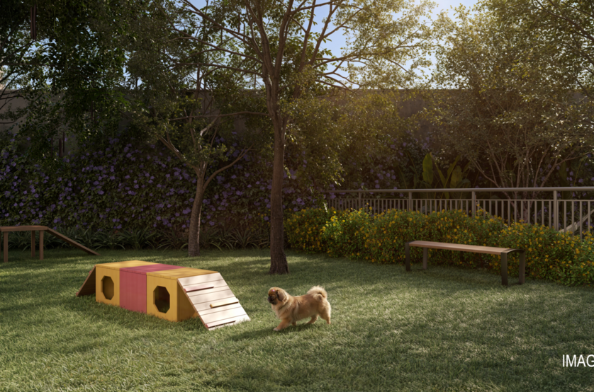 Pet place (perspectiva preliminar)