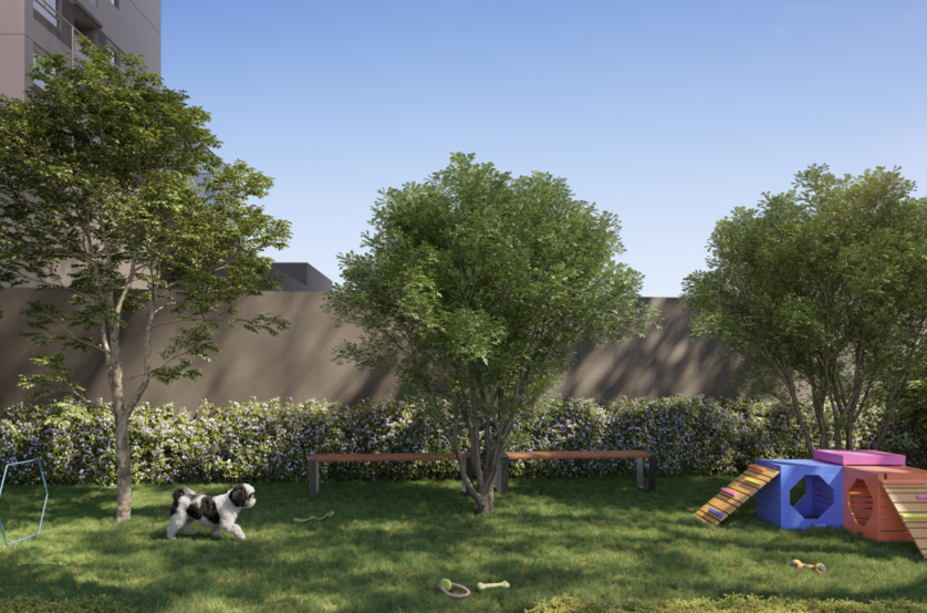 Pet place (perspectiva preliminar)