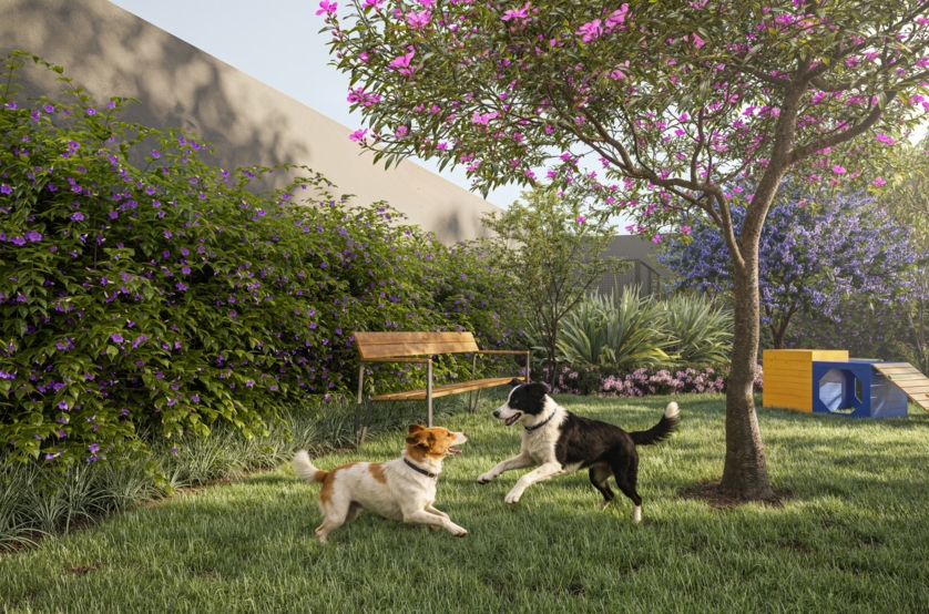 Pet Place (perspectiva artística)