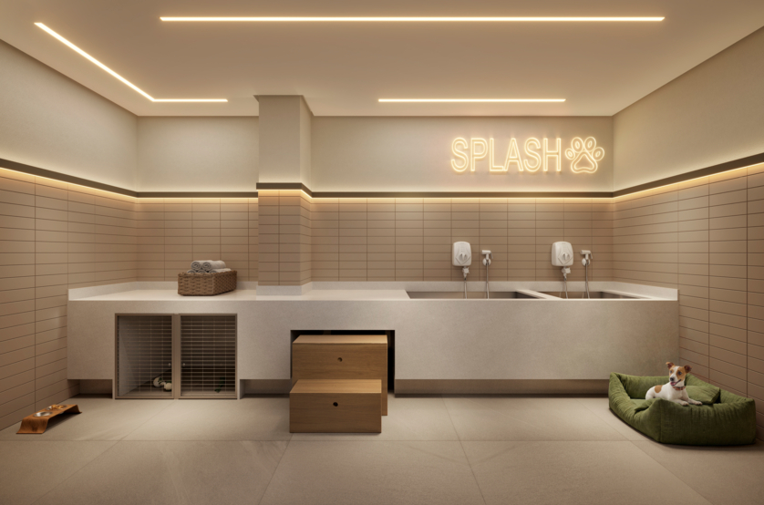 Pet care (Perspectiva artística) 