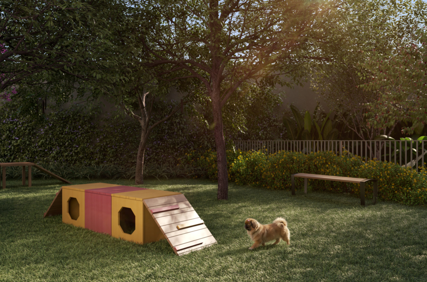 Pet place (perspectiva artística) 