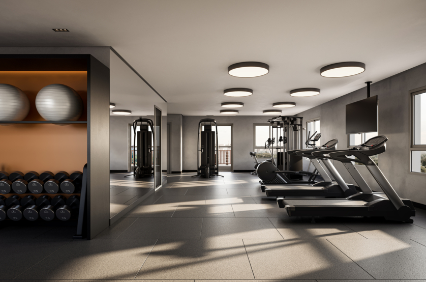 Fitness (perspectiva artística) 