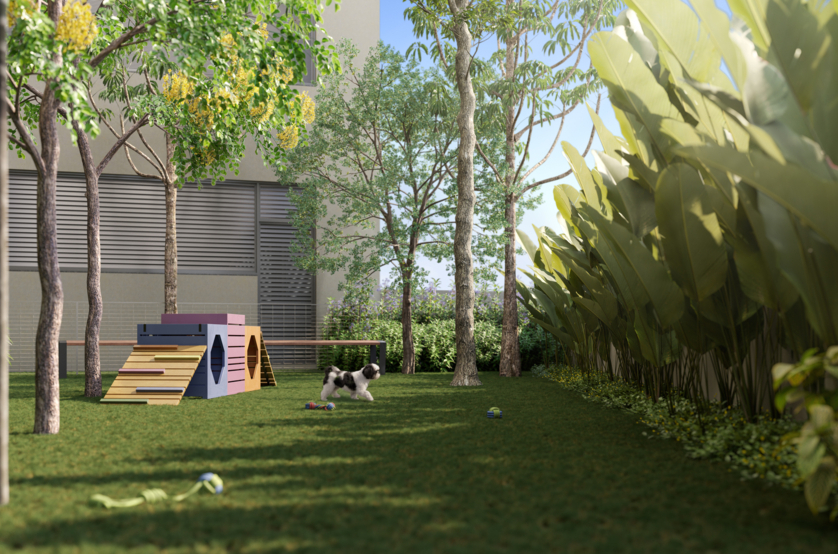 Pet place (Perspectiva artística)