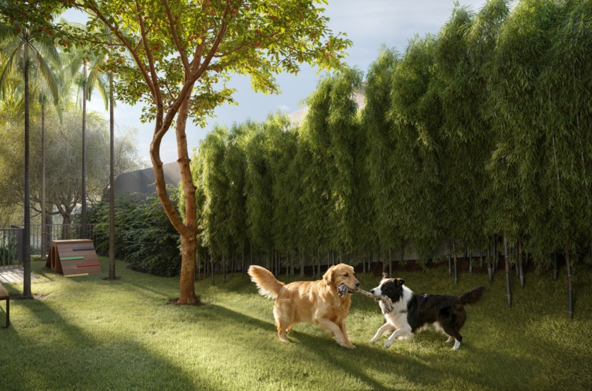 Pet place (Perspectiva artística) 