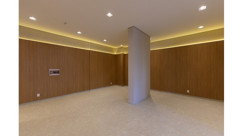 evolution-09