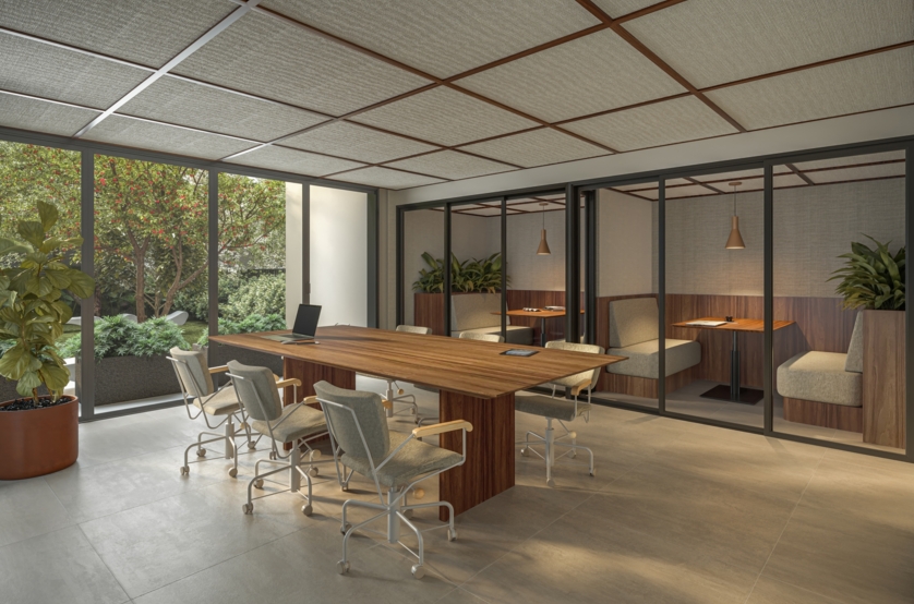 Coworking  (Perspectiva artística)